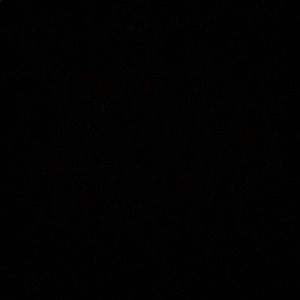 Meet your Posher, Lizeth